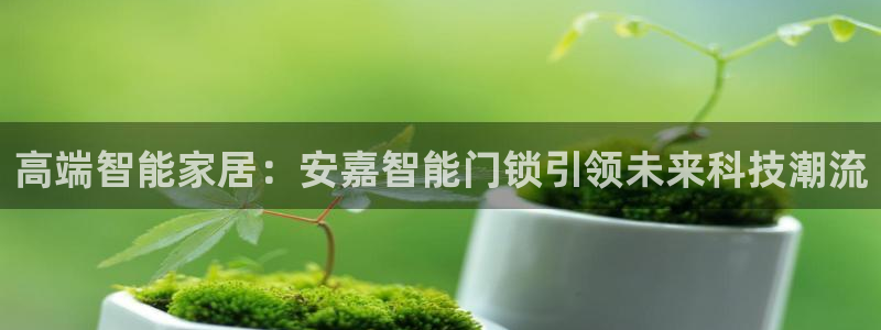 金年会体育平台入口：高端智能家居：安嘉智能门锁引领未来科技潮