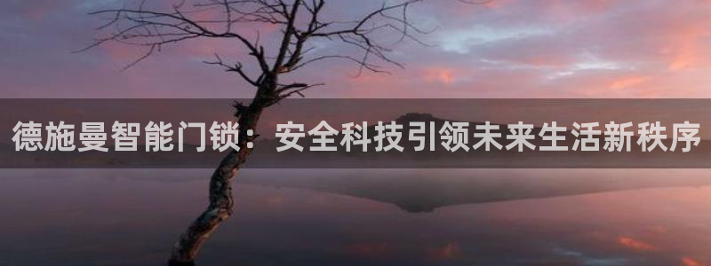 金年会提款慢：德施曼智能门锁：安全科技引领未来生活新秩序