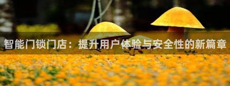 金年会在线：智能门锁门店：提升用户体验与安全性的新篇章