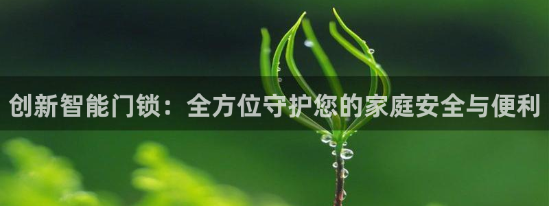 金年会电子：创新智能门锁：全方位守护您的家庭安全与便利