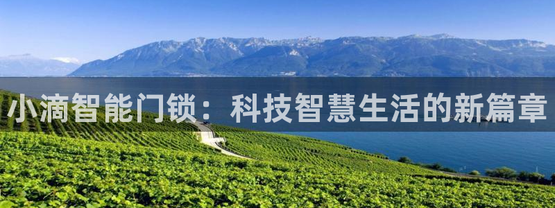 2022年金科年会：小滴智能门锁：科技智慧生活的新篇章