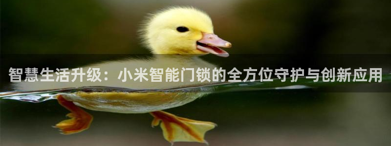 澳门娱乐金年会：智慧生活升级：小米智能门锁的全方位守护与创新