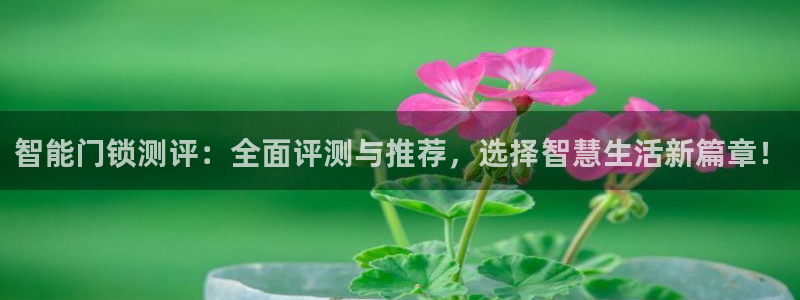 金年会能提款吗：智能门锁测评：全面评测与推荐，选择智慧生活新