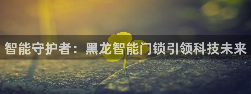 金年会和万博：智能守护者：黑龙智能门锁引领科技未来