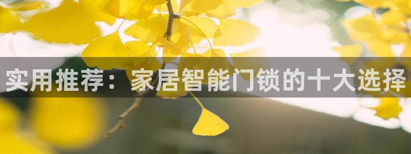 金年会体育在线入口：实用推荐：家居智能门锁的十大选择