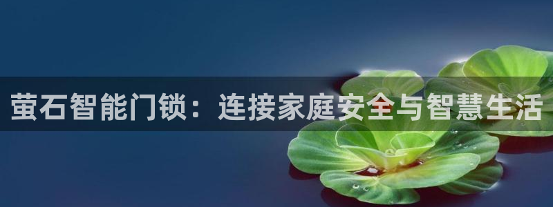 金年会体育在线登录：萤石智能门锁：连接家庭安全与智慧生活