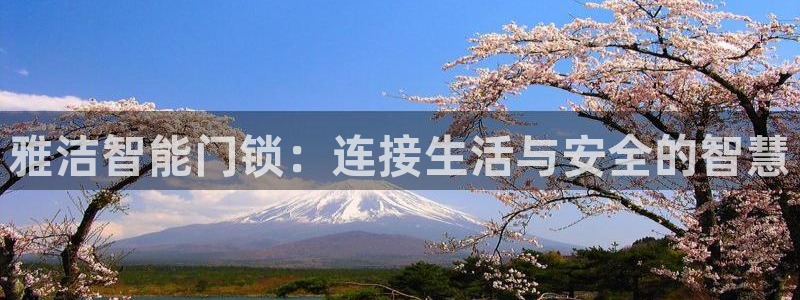 金汉江年会：雅洁智能门锁：连接生活与安全的智慧