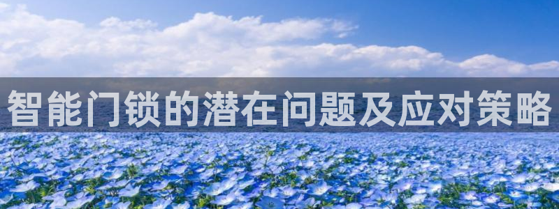 金齿科年会：智能门锁的潜在问题及应对策略