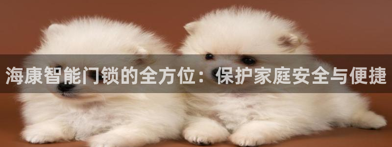金年会体育下载app：海康智能门锁的全方位：保护家庭安全与便