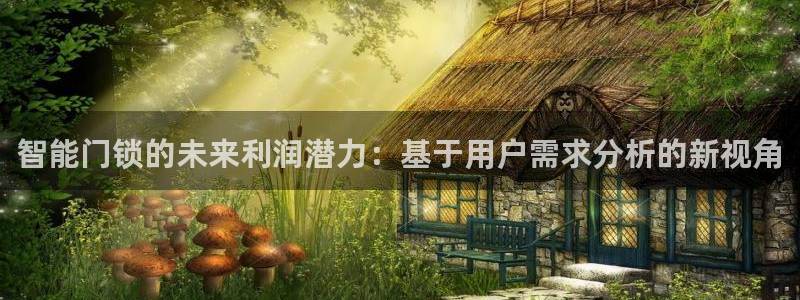 世纪金源年会：智能门锁的未来利润潜力：基于用户需求分析的新视