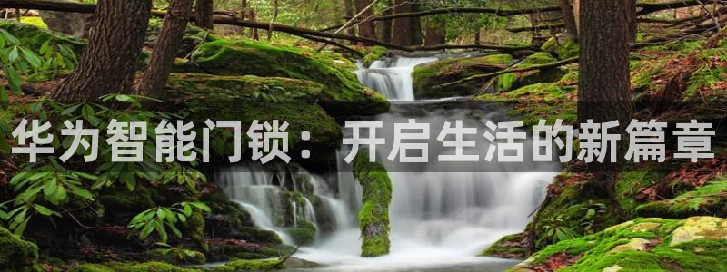 金年会官方入口：华为智能门锁：开启生活的新篇章