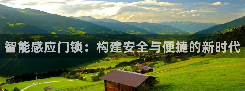 金年会首页登录：智能感应门锁：构建安全与便捷的新时代