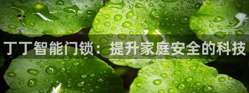 金年会是正规的吗：丁丁智能门锁：提升家庭安全的科技