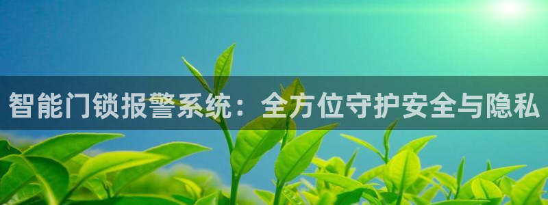 金年会官网app：智能门锁报警系统：全方位守护安全与隐私