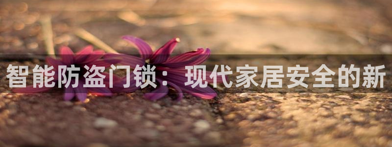 为什么搜索不了金年会：智能防盗门锁：现代家居安全的新
