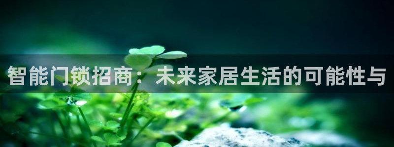 金年会平台登陆：智能门锁招商：未来家居生活的可能性与