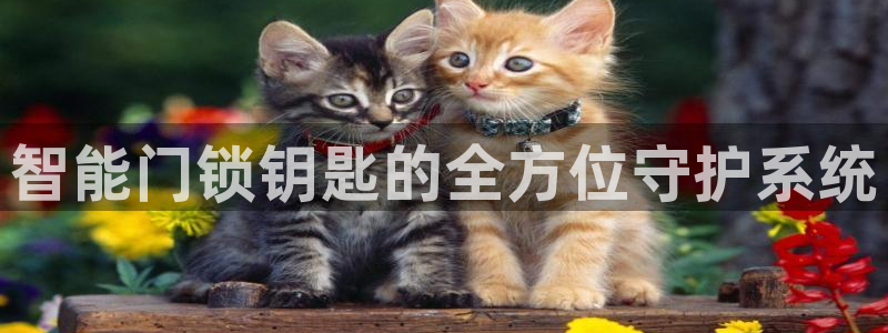 融通金年会：智能门锁钥匙的全方位守护系统