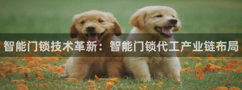 金年会 金字招牌：智能门锁技术革新：智能门锁代工产业链布局