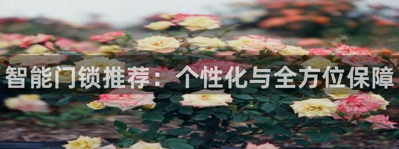 金年会金字招牌信誉：智能门锁推荐：个性化与全方位保障