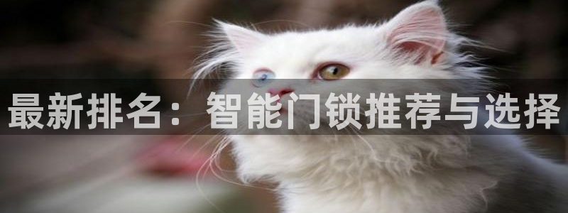 金年会娱乐提现：最新排名：智能门锁推荐与选择
