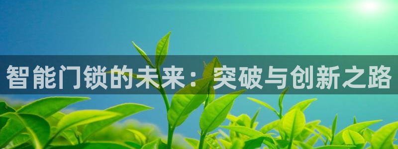金年会手机网页版登录：智能门锁的未来：突破与创新之路