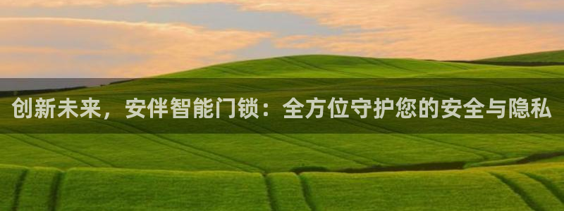 金年会是真的吗：创新未来，安伴智能门锁：全方位守护您的安全与