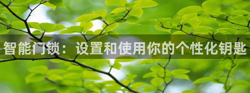 金年会网页版登陆：智能门锁：设置和使用你的个性化钥匙