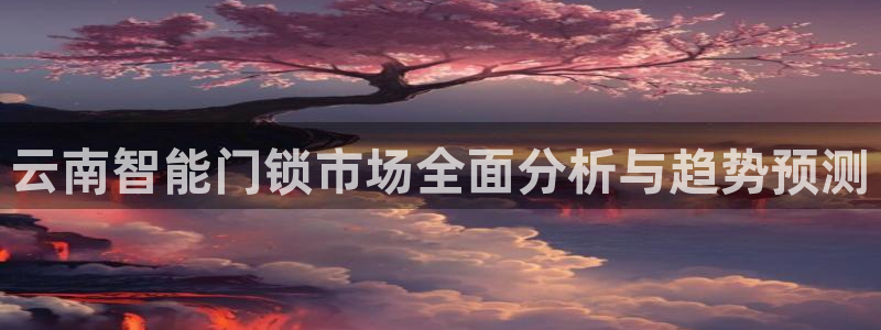陆金所 年会：云南智能门锁市场全面分析与趋势预测