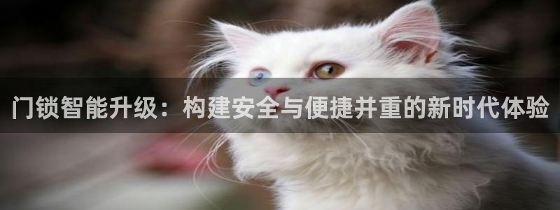 金年会平台是不是大台子：门锁智能升级：构建安全与便捷并重的新