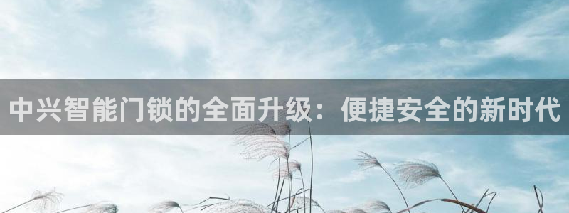 金年会平台包赔：中兴智能门锁的全面升级：便捷安全的新时代