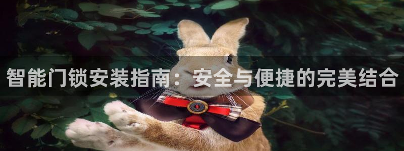 金年会体育在线入口：智能门锁安装指南：安全与便捷的完美结合