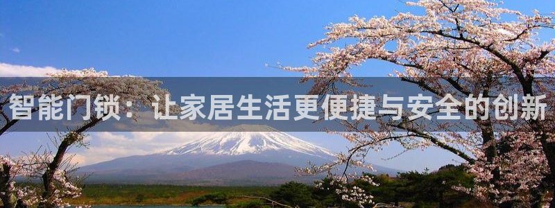 金年会app下载官网：智能门锁：让家居生活更便捷与安全的创新
