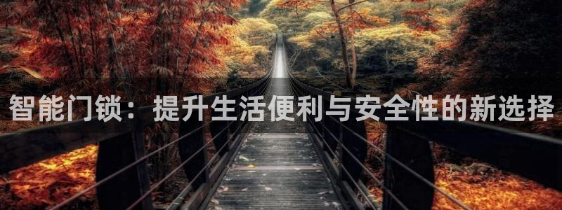 金年会活动策划：智能门锁：提升生活便利与安全性的新选择
