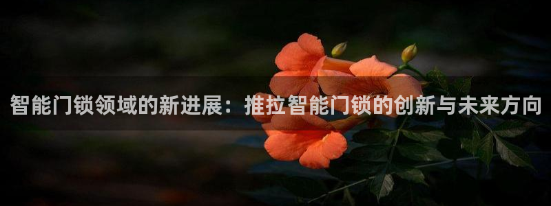 金年会是正规的吗：智能门锁领域的新进展：推拉智能门锁的创新与