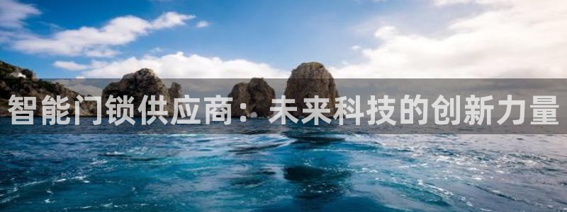 金年会登录平台入口：智能门锁供应商：未来科技的创新力量
