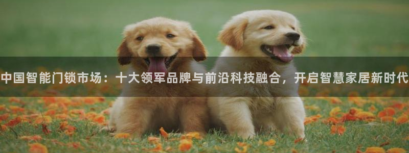 金年会APP黑钱：中国智能门锁市场：十大领军品牌与前沿科技融