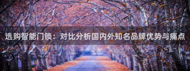 6766金年会：选购智能门锁：对比分析国内外知名品牌优势与痛