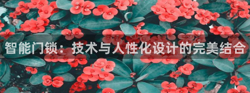 金年会ios下载：智能门锁：技术与人性化设计的完美结合