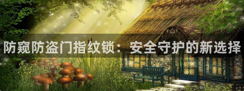 金年会吧：防窥防盗门指纹锁：安全守护的新选择