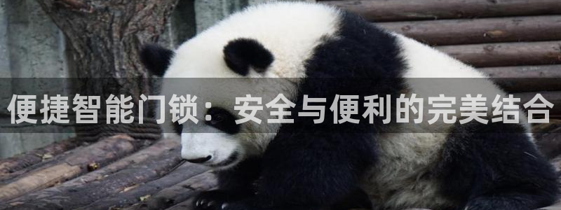金年会全站app：便捷智能门锁：安全与便利的完美结合
