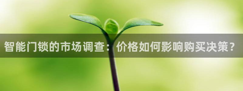 澳门金年会棋牌：智能门锁的市场调查：价格如何影响购买决策？