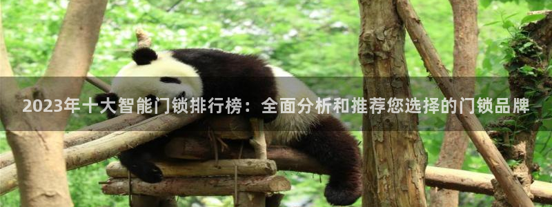 金年会最新登录网站：2023年十大智能门锁排行榜：全面分析和