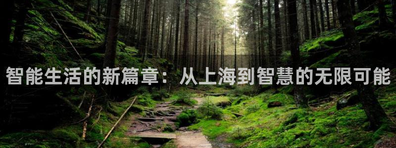 金年会登录平台入口：智能生活的新篇章：从上海到智慧的无限可能