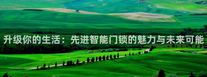 今金年会：升级你的生活：先进智能门锁的魅力与未来可能