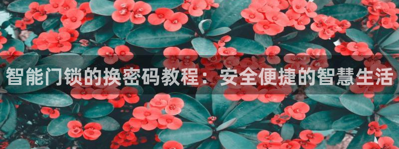 金年会代理：智能门锁的换密码教程：安全便捷的智慧生活