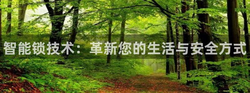 金年会 1080P：智能锁技术：革新您的生活与安全方式