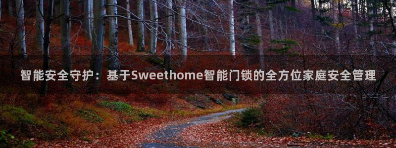 金年会体育平台入口：智能安全守护：基于Sweethome智能