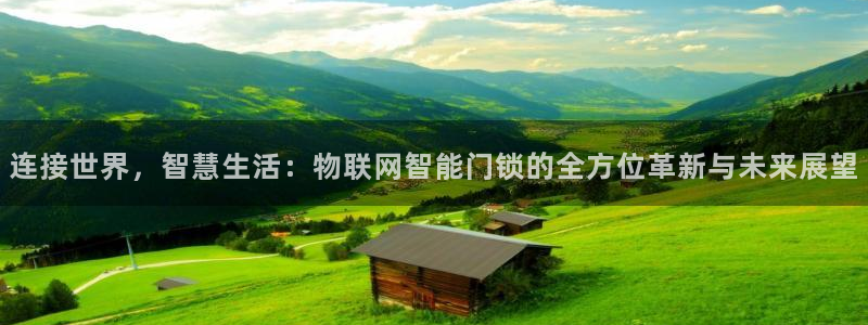 金年会官方：连接世界，智慧生活：物联网智能门锁的全方位革新与