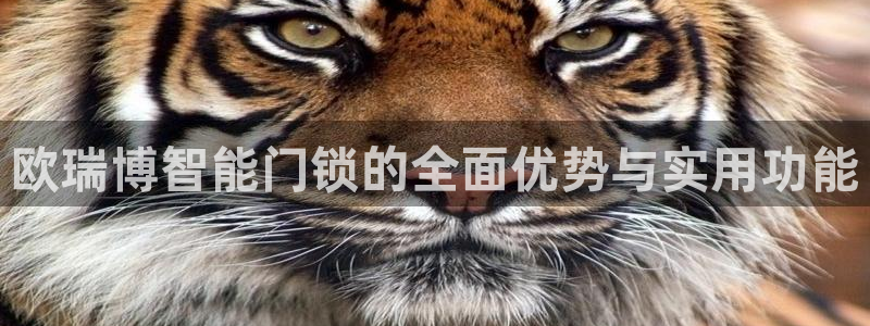 金年会金字招牌：欧瑞博智能门锁的全面优势与实用功能