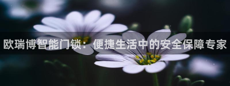 金年会101：欧瑞博智能门锁：便捷生活中的安全保障专家